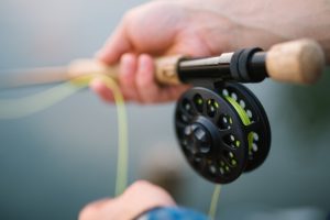 Best Fishing Line for Spinning Reels